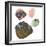 Opal-Paul Biddle-Framed Premium Photographic Print