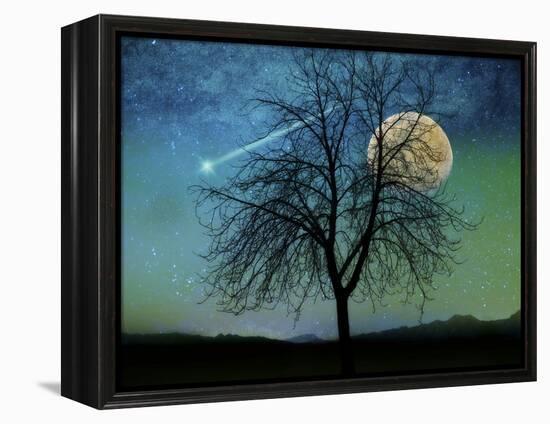 Opalescent Sky-Tina Lavoie-Framed Premier Image Canvas