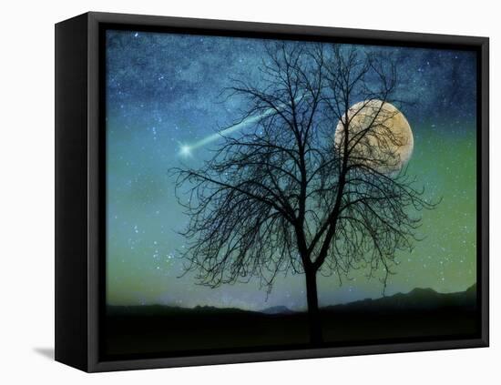 Opalescent Sky-Tina Lavoie-Framed Premier Image Canvas