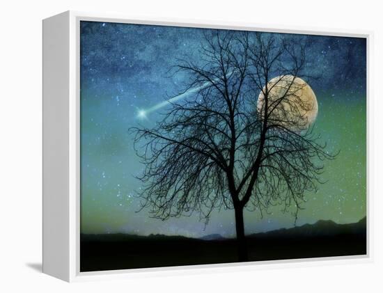 Opalescent Sky-Tina Lavoie-Framed Premier Image Canvas