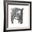 Opaque-Barbara Keith-Framed Giclee Print