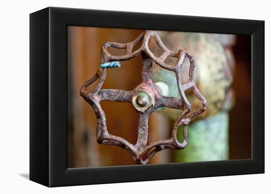 Open and Shut-Dana Styber-Framed Premier Image Canvas