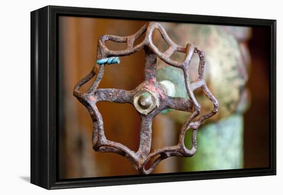 Open and Shut-Dana Styber-Framed Premier Image Canvas