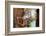 Open and Shut-Dana Styber-Framed Photographic Print