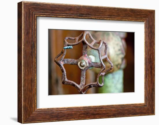 Open and Shut-Dana Styber-Framed Photographic Print