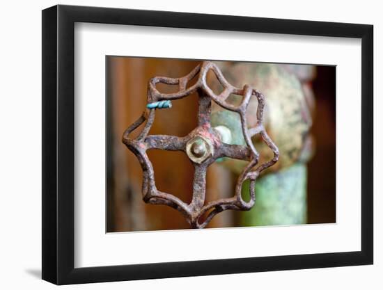 Open and Shut-Dana Styber-Framed Photographic Print