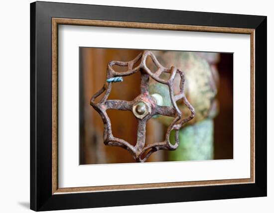 Open and Shut-Dana Styber-Framed Photographic Print