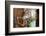 Open and Shut-Dana Styber-Framed Photographic Print