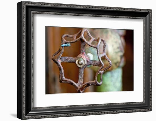 Open and Shut-Dana Styber-Framed Photographic Print