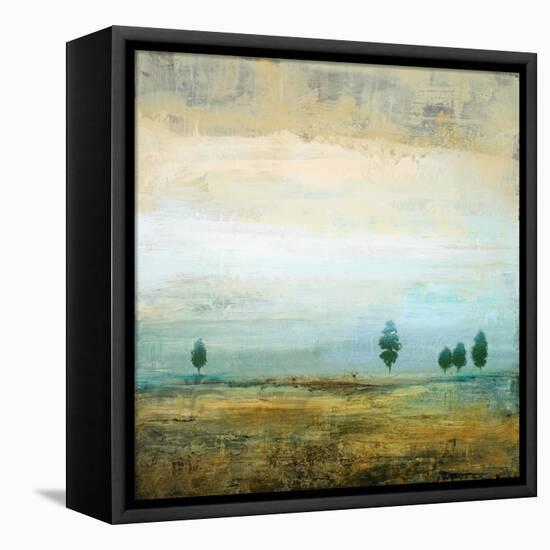 Open Atmosphere II-Michael Marcon-Framed Stretched Canvas