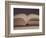 Open Book 11-Jennifer Kennard-Framed Photographic Print