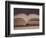 Open Book 11-Jennifer Kennard-Framed Photographic Print