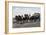 Open Carriage Drawn by Four Horses, 1863, by Guerard, France, 19th Century-null-Framed Giclee Print