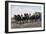 Open Carriage Drawn by Four Horses, 1863, by Guerard, France, 19th Century-null-Framed Giclee Print