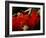 Open Flame-Lauren Bentley-Framed Photographic Print