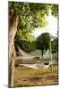 Open Hammock-Karyn Millet-Mounted Photo