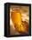 Open Jar of Honey-Colin Erricson-Framed Premier Image Canvas