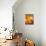 Open Jar of Honey-Colin Erricson-Mounted Photographic Print displayed on a wall