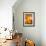 Open Jar of Honey-Colin Erricson-Framed Photographic Print displayed on a wall