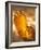 Open Jar of Honey-Colin Erricson-Framed Photographic Print