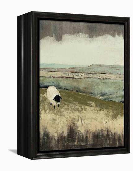 Open Meadow I-Grace Popp-Framed Stretched Canvas