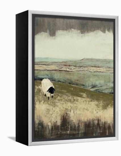 Open Meadow I-Grace Popp-Framed Stretched Canvas