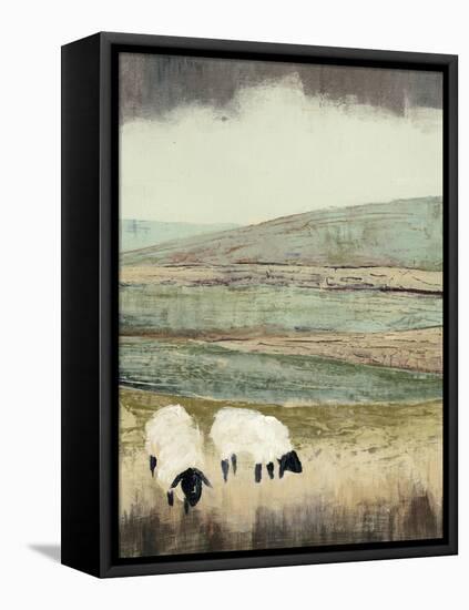 Open Meadow II-Grace Popp-Framed Stretched Canvas