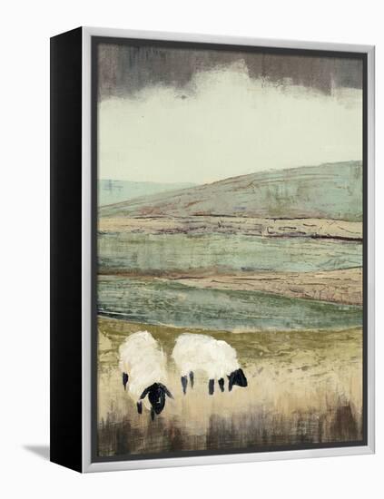 Open Meadow II-Grace Popp-Framed Stretched Canvas