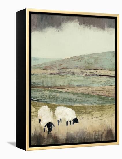 Open Meadow II-Grace Popp-Framed Stretched Canvas