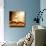 Open Old Book Magic Snail-FOTOALOJA-Mounted Photographic Print displayed on a wall