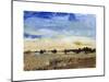 Open Range II-Tim O'toole-Mounted Art Print