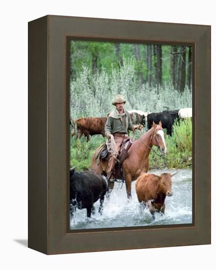 Open Range-null-Framed Stretched Canvas