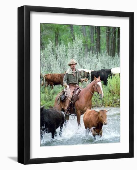 Photo, , large