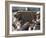 Open Range-null-Framed Photo