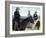 Open Range-null-Framed Photo