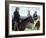 Open Range-null-Framed Photo