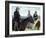 Open Range-null-Framed Photo