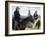 Open Range-null-Framed Photo