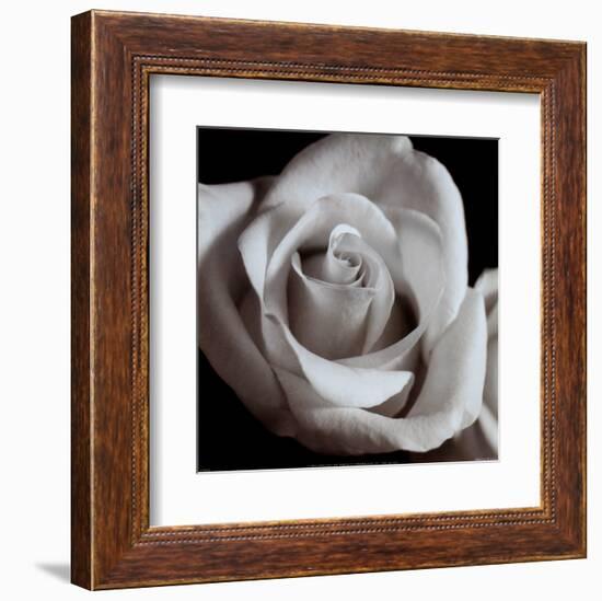 Open Rose-null-Framed Art Print