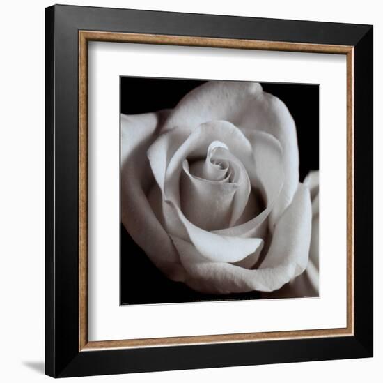 Open Rose-null-Framed Art Print