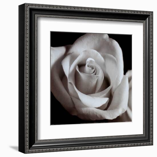 Open Rose-null-Framed Art Print