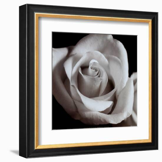 Open Rose-null-Framed Art Print