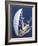 Open Sail-Ingrid Abery-Framed Art Print