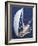 Open Sail-Ingrid Abery-Framed Art Print