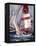 Open Sails II-Brent Heighton-Framed Stretched Canvas