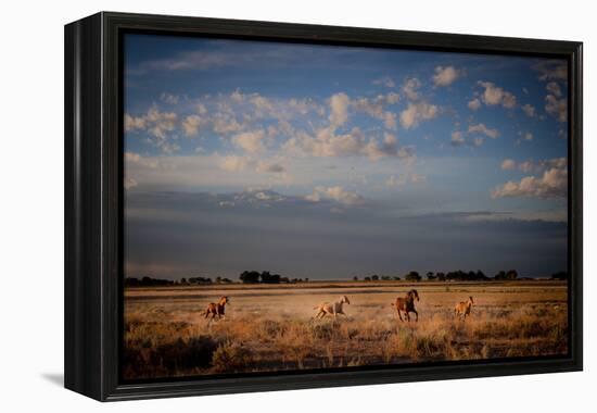 Open Spaces-Dan Ballard-Framed Premier Image Canvas