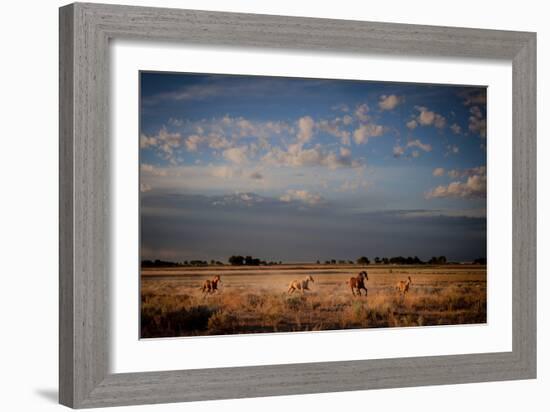 Open Spaces-Dan Ballard-Framed Photographic Print