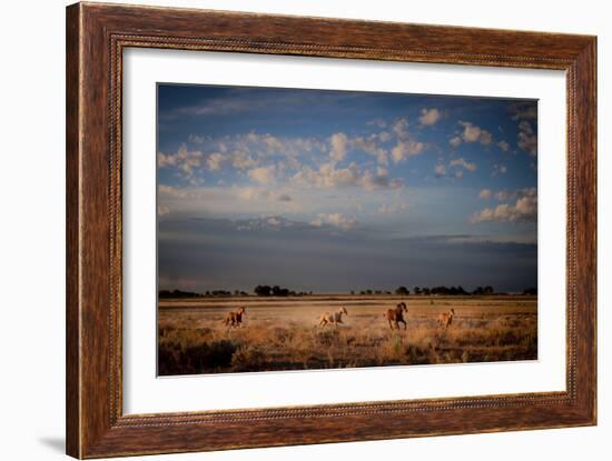 Open Spaces-Dan Ballard-Framed Photographic Print