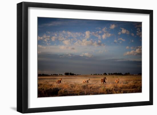 Open Spaces-Dan Ballard-Framed Photographic Print