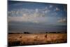 Open Spaces-Dan Ballard-Mounted Photographic Print